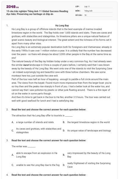 15 câu trắc nghiệm Tiếng Anh 11 Global Success Reading đọc hiểu: Preserving our heritage có đáp án