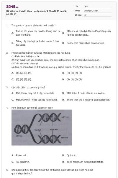 Đề kiểm tra định kì Khoa học tự nhiên 9 Chủ đề 11 có đáp án (Đề 91)