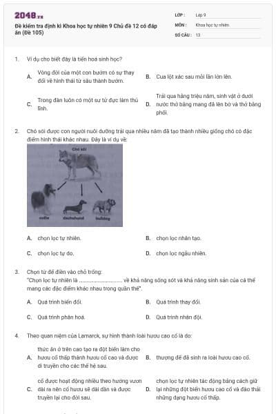 Đề kiểm tra định kì Khoa học tự nhiên 9 Chủ đề 12 có đáp án (Đề 105)