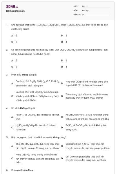 Bài luyện tập số 6