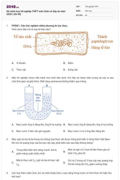 Đề minh họa tốt nghiệp THPT môn Sinh có đáp án năm 2025 ( Đề 48)