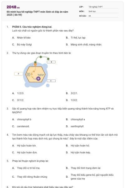 Đề minh họa tốt nghiệp THPT môn Sinh có đáp án năm 2025 ( Đề 49)