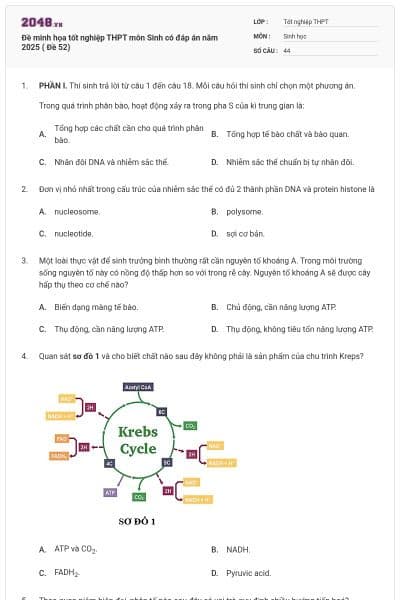 Đề minh họa tốt nghiệp THPT môn Sinh có đáp án năm 2025 ( Đề 52)