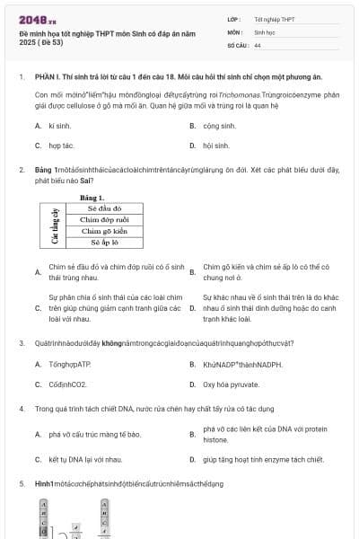 Đề minh họa tốt nghiệp THPT môn Sinh có đáp án năm 2025 ( Đề 53)