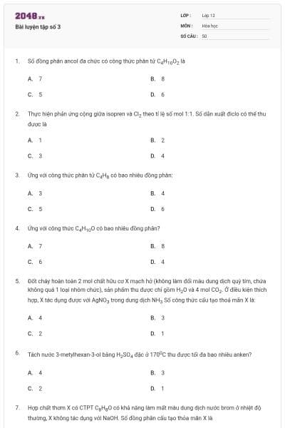 Bài luyện tập số 3