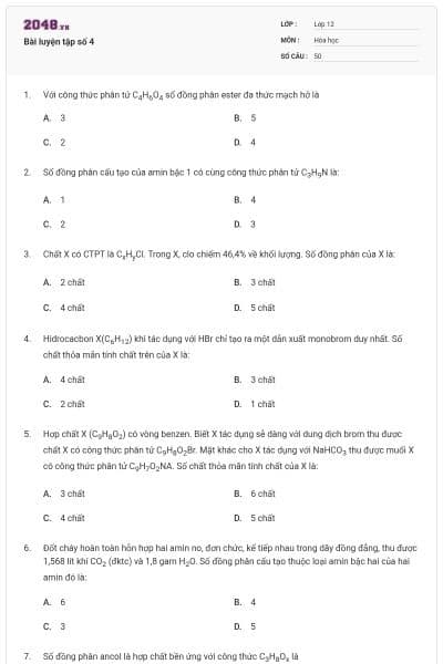 Bài luyện tập số 4