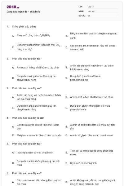 Dạng câu mệnh đề - phát biểu