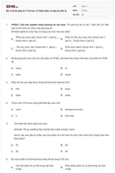 Bộ 3 đề thi giữa kì 2 Tin học 12 Cánh diều có đáp án (Đề 3)