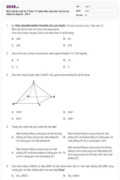 Bộ 5 đề thi cuối kì 2 Toán 11 Cánh diều cấu trúc mới (có tự luận) có đáp án - Đề 4