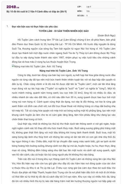 Bộ 10 đề thi cuối kì 2 Văn 9 Cánh diều có đáp án (Đề 9)