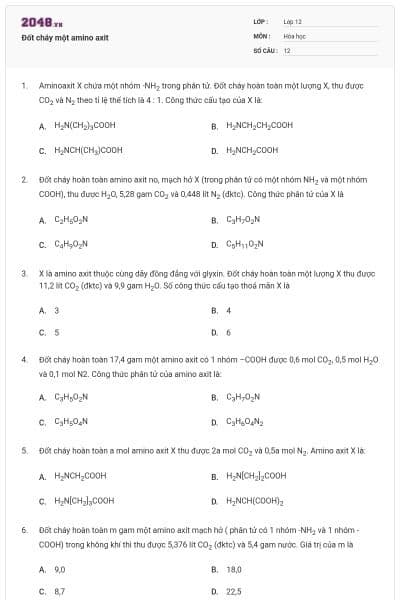 Đốt cháy một amino axit
