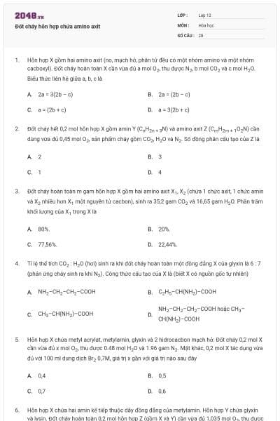 Đốt cháy hỗn hợp chứa amino axit