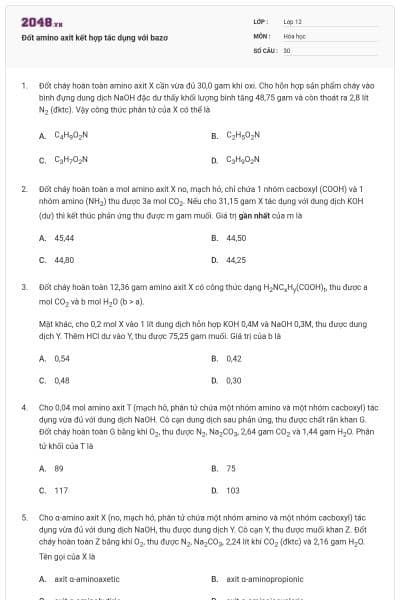 Đốt amino axit kết hợp tác dụng với bazơ