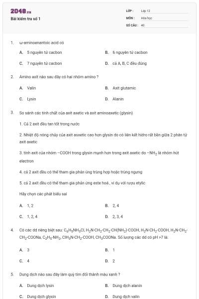 Bài kiểm tra số 1