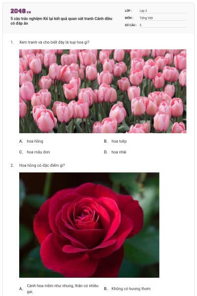 5 câu trắc nghiệm Kể lại kết quả quan sát tranh Cánh diều có đáp án