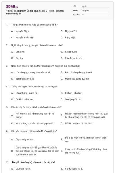 10 câu trắc nghiệm Ôn tập giữa học kì 2 (Tiết 5, 6) Cánh diều có đáp án