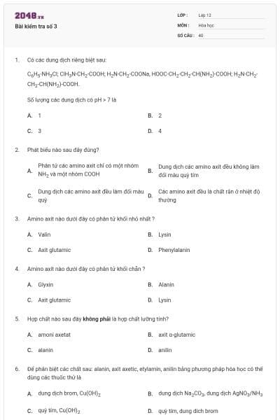 Bài kiểm tra số 3