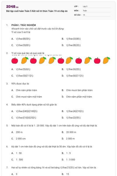 Bài tập cuối tuần Toán 5 Kết nối tri thức Tuần 19 có đáp án