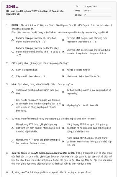 Đề minh họa tốt nghiệp THPT môn Sinh có đáp án năm 2025 (Đề 66)