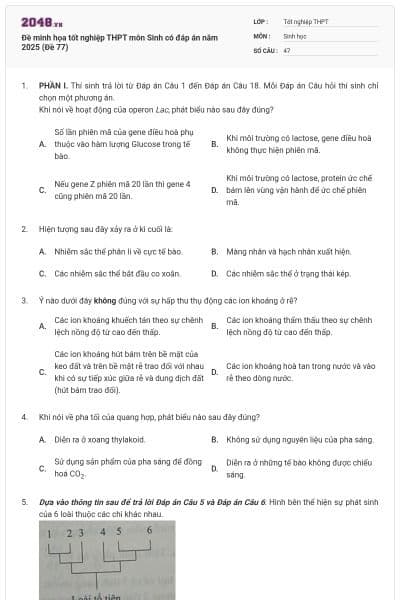 Đề minh họa tốt nghiệp THPT môn Sinh có đáp án năm 2025 (Đề 77)
