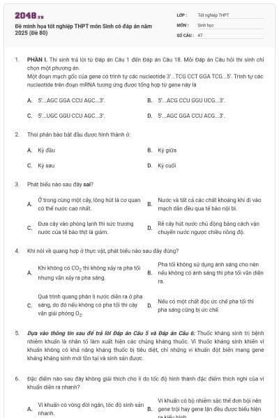 Đề minh họa tốt nghiệp THPT môn Sinh có đáp án năm 2025 (Đề 80)