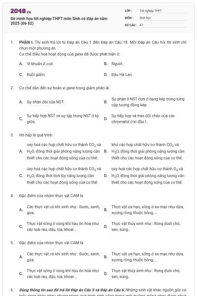 Đề minh họa tốt nghiệp THPT môn Sinh có đáp án năm 2025 (Đề 82)