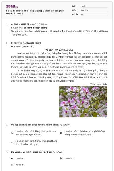 Bộ 10 đề thi cuối kì 2 Tiếng Việt lớp 2 Chân trời sáng tạo có đáp án - Đề 5