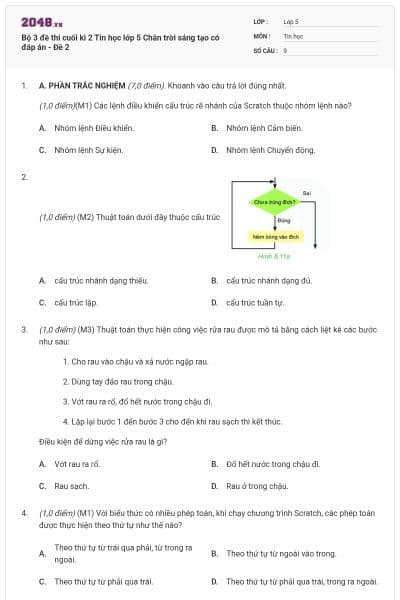 Bộ 3 đề thi cuối kì 2 Tin học lớp 5 Chân trời sáng tạo có đáp án - Đề 2