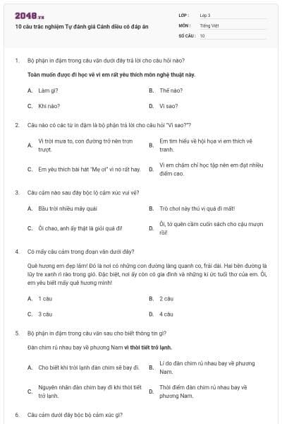 10 câu trắc nghiệm Tự đánh giá Cánh diều có đáp án