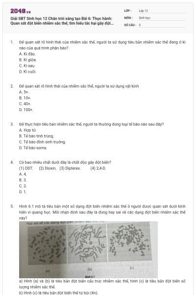 Giải SBT Sinh học 12 Chân trời sáng tạo Bài 6: Thực hành: Quan sát đột biến nhiễm sắc thể; tìm hiểu tác hại gây đột biến của một chất độc có đáp án
