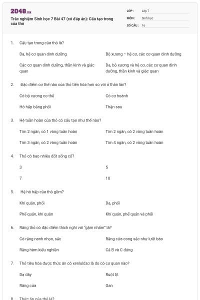 Trắc nghiệm Sinh học 7 Bài 47 (có đáp án): Cấu tạo trong của thỏ