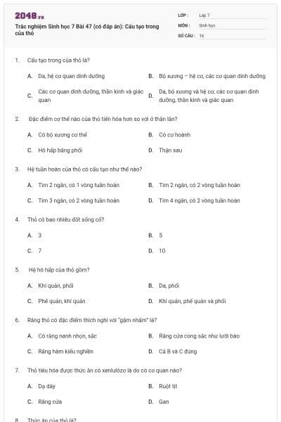 Trắc nghiệm Sinh học 7 Bài 47 (có đáp án): Cấu tạo trong của thỏ