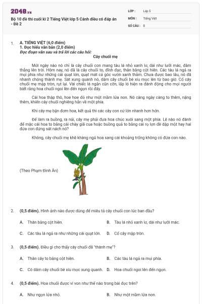 Bộ 10 đề thi cuối kì 2 Tiếng Việt lớp 5 Cánh diều có đáp án - Đề 2