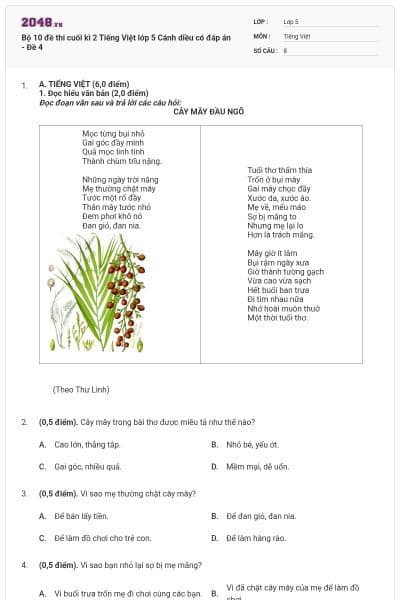 Bộ 10 đề thi cuối kì 2 Tiếng Việt lớp 5 Cánh diều có đáp án - Đề 4