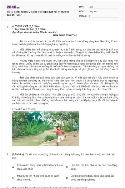Bộ 10 đề thi cuối kì 2 Tiếng Việt lớp 5 Kết nối tri thức có đáp án - Đề 7