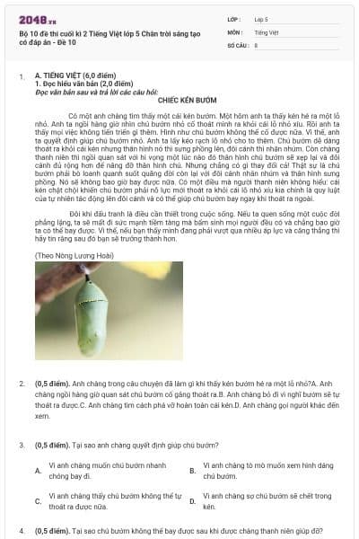 Bộ 10 đề thi cuối kì 2 Tiếng Việt lớp 5 Chân trời sáng tạo có đáp án - Đề 10