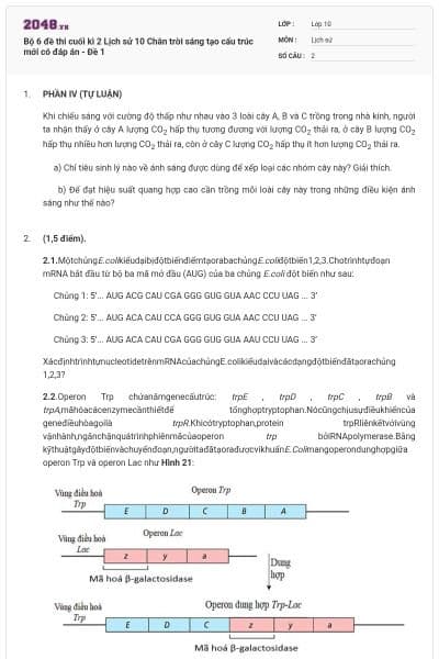 Bộ 6 đề thi cuối kì 2 Lịch sử 10 Chân trời sáng tạo cấu trúc mới có đáp án - Đề 1