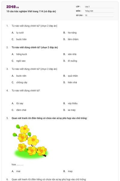 10 câu trắc nghiệm Viết trang 114 (có đáp án)