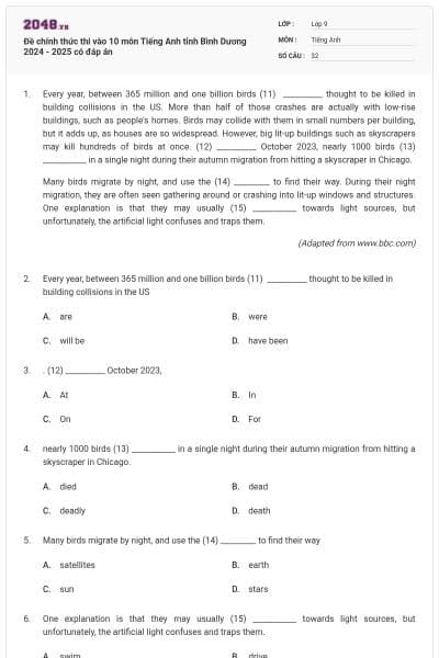 Đề chính thức thi vào 10 môn Tiếng Anh tỉnh Bình Dương 2024 - 2025 có đáp án