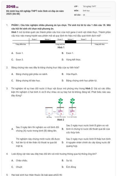 Đề minh hoạ tốt nghiệp THPT môn Sinh có đáp án năm 2025 (Đề 88)