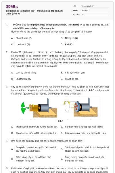 Đề minh hoạ tốt nghiệp THPT môn Sinh có đáp án năm 2025 (Đề 88)