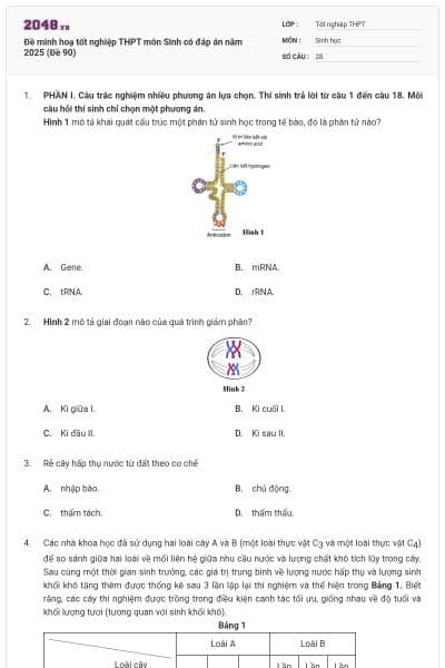 Đề minh hoạ tốt nghiệp THPT môn Sinh có đáp án năm 2025 (Đề 90)