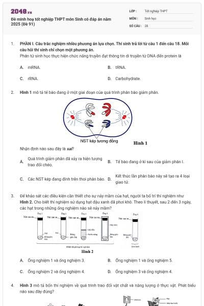 Đề minh hoạ tốt nghiệp THPT môn Sinh có đáp án năm 2025 (Đề 91)