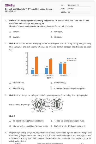 Đề minh hoạ tốt nghiệp THPT môn Sinh có đáp án năm 2025 (Đề 92)