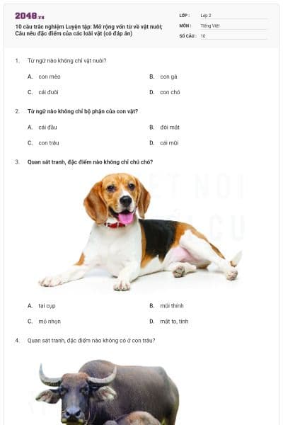 10 câu trắc nghiệm Luyện tập: Mở rộng vốn từ về vật nuôi; Câu nêu đặc điểm của các loài vật (có đáp án)