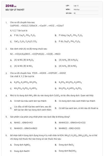 BÀI TẬP LÝ THUYẾT