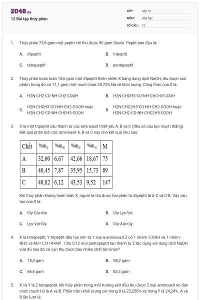 12 Bài tập thủy phân