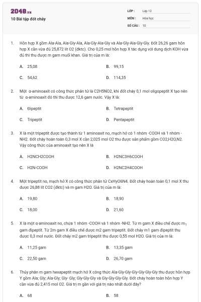 10 Bài tập đốt cháy