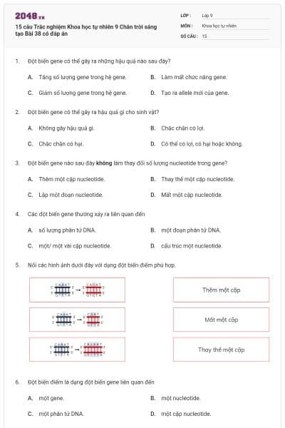 15 câu Trắc nghiệm Khoa học tự nhiên 9 Chân trời sáng tạo Bài 38 có đáp án