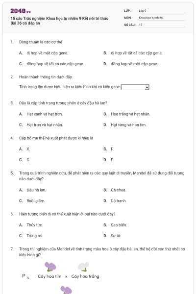 15 câu Trắc nghiệm Khoa học tự nhiên 9 Kết nối tri thức Bài 36 có đáp án